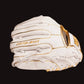 Relic MXT Series - White & Gold - Resilient SFBL